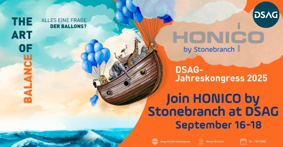 header-16-9-stonebrach-honico-dsag-2025.png