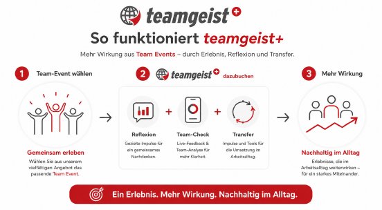 Schaubild So funktioniert teamgeist+.png