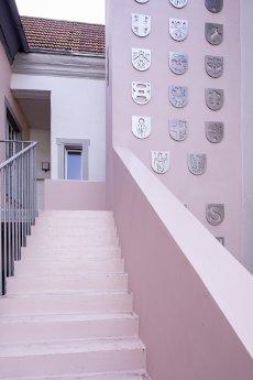 Foto 6.jpg