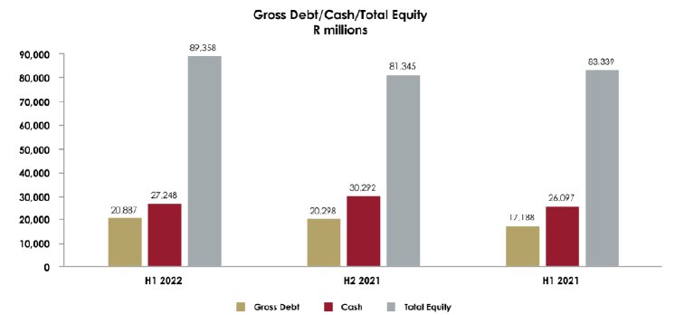 Gross Debt.PNG