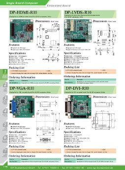 DP-HDMI_LVDS_VGA_DVI-datasheet-20130620.pdf