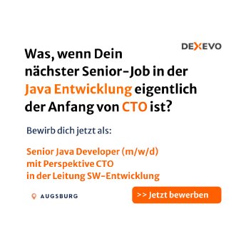 Senior Java Developer (m w d)  Perspektive CTO Leitung Softwareentwicklung
