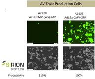 AV Toxic Production Cells