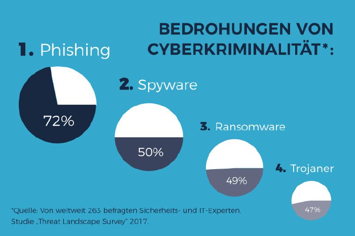 Infografik_Bedrohungen-von-Cyberkriminalität.jpg