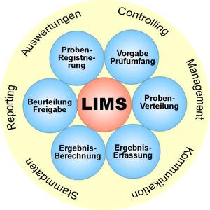 LIMS Consulting