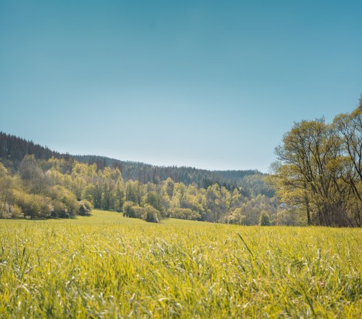 Jahresbericht_Stadtwerke-Initiative_ASEW.png