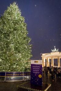So erstrahlte der Weihnachtsbaum von lekker im vergangenen Jahr den Pariser Platz vor dem Brandenburger Tor.
