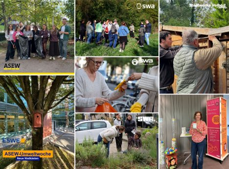 ASEW-Umweltwoche-Collage.jpg