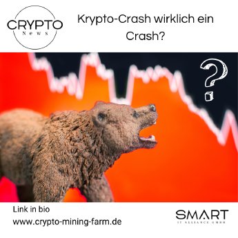 DE Krypto-Crash wirklich ein crash?.png