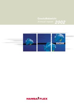 hansa-flex-geschaeftsbericht_2002.pdf