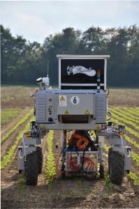 An environmentally friendly, laser-based method as the one currently being developed by Escarda and B.I.G. would be an evolutionary step in ecological weed control.
Photo-©: Philipp Lottes