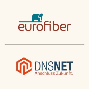 Partner_EFN_DNS.png