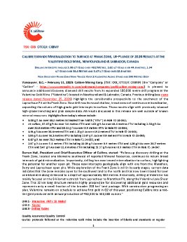 20250210 Calibre Valentine Gold Frank Zone Exploration Drill Results News Release (Final)_E.pdf