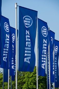 Allianz Flaggen.jpg
