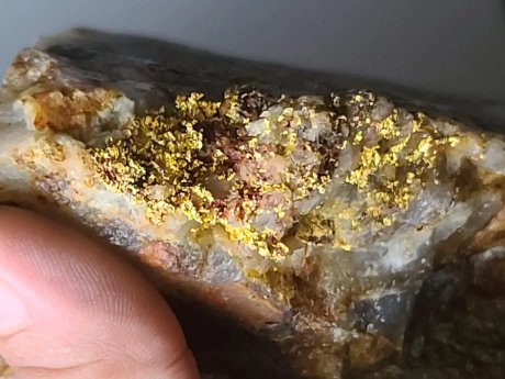 Sranan-Gold-Goldmineralisierung-Suriname.webp