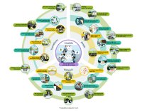 Circular Economy Strategies in Public Transport – Sustainability Requires More Than Electrification