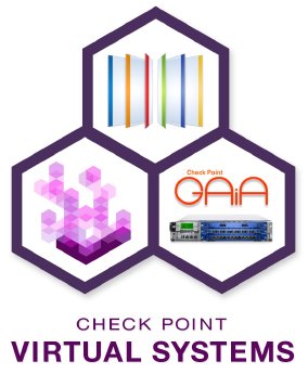 Check Point Virtual Systems - Graphical.jpg