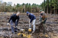 Christian Greger, Bürgermeister der Stadt Wittenburg, Thomas Murche, technischer Vorstand der WEMAG, und Peter Schuster vom Forstamt Radelübbe (v. l.) beteiligten sich ebenfalls an der Baumpflanzaktion