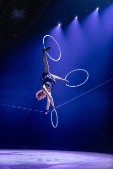 20241220_0109_bilderbube.JPG