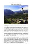 [PDF] Press Release: Positive voices for the gold price
