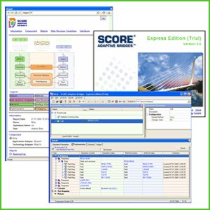 Delta Software Technology - SCORE Adaptive Bridges.gif