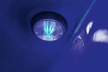 Blaues Licht beim Pferdetransport