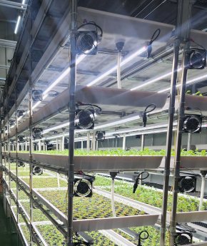 Vertical_Farming_Regal_Aluminium_Rundrohr_BeeWaTec.webp