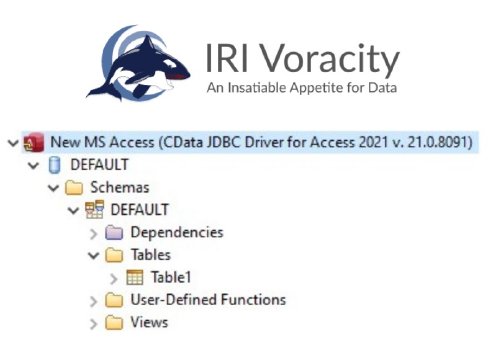 Data Governance von Microsoft Access.jpg
