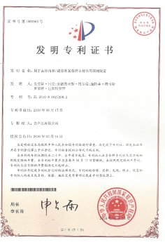 Patent Certificate.jpg