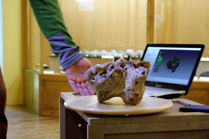 Artec 3D und Threeding digitalisieren Paläontologie-Sammlung_7.JPG