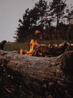 Waldbrand