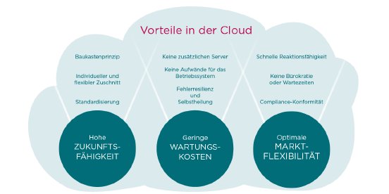 vorteile-software-devops-in-der-cloud.png