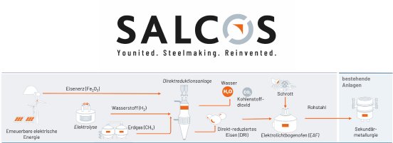Prozessgraphik SALCOS mit Logo.jpg