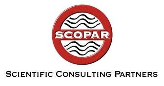 SCOPAR-Unternehmensberatung-Consulting-Empfehlung.jpg