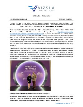 VIZSLA_ESR Distinction_V4_EN.pdf
