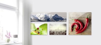Wanddekoration selbst gestalten mit neuer Motivgalerie von CEWE