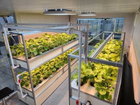 Vertical_Farming_Regal_Aluminium_Vierkant_BeeWaTec.jpg