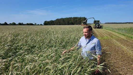 Roggenernte_Marco Schult.jpg