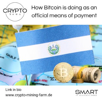 EN How Bitcoin is doing as an official means of payment.png