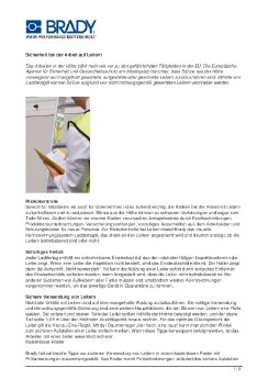 CDE_BRADY-SAFE-LADDER-USE.pdf