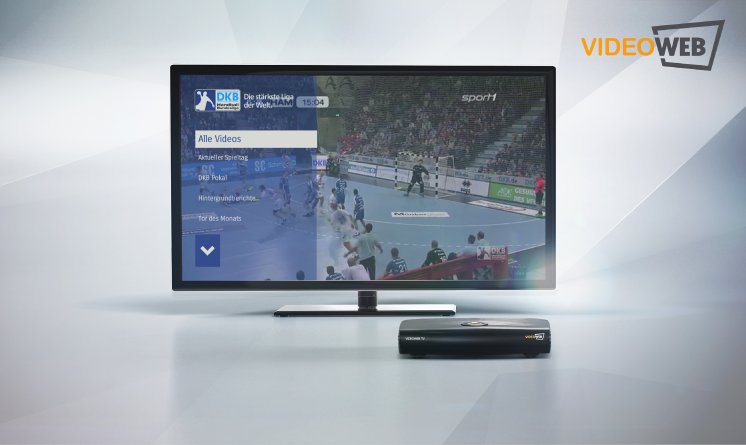VideoWeb TV - DKB Handball Bundesliga_140224.jpg
