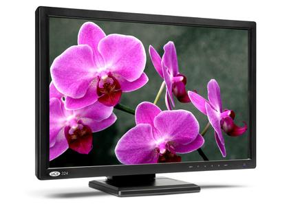 LaCie stellt neues 24"-Display mit breiter Farbskala für kreative Experten vor