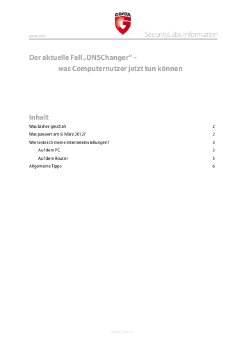 SecLabs_Info_DNSChanger_DE.pdf