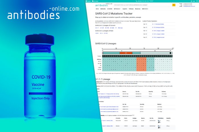 02_antibodies-online_COVID-19.jpg