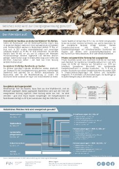 230412_Infopapier zu den energetisch genutzten Holzsortimenten.pdf