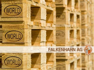 Eine günstige Alternative zur Europalette: Die neue WORLD Palette bringt Bewegung in den Logistikmarkt