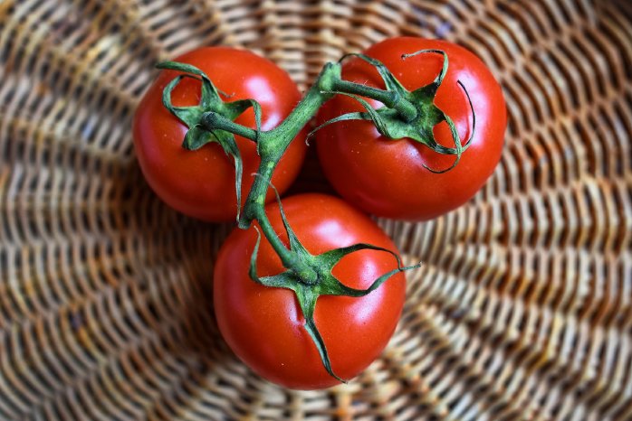 tomatoes-3520004_1920.jpg
