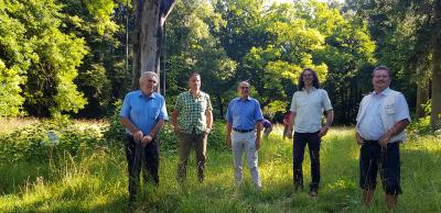 Fünf Fachleute vor der carbongestützten alten Buche im Augsburger Siebentischwald: Franz Weißgerber, Fachagrarwirt Robert Dettenrieder, Reiner Erben, Andreas Detter und Michael Heine (v.l.n.r.)