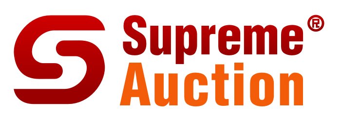 logo supreme auction gross.JPG