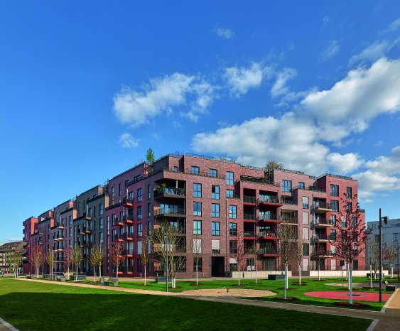 Hagemeister maxfrei 1.jpg